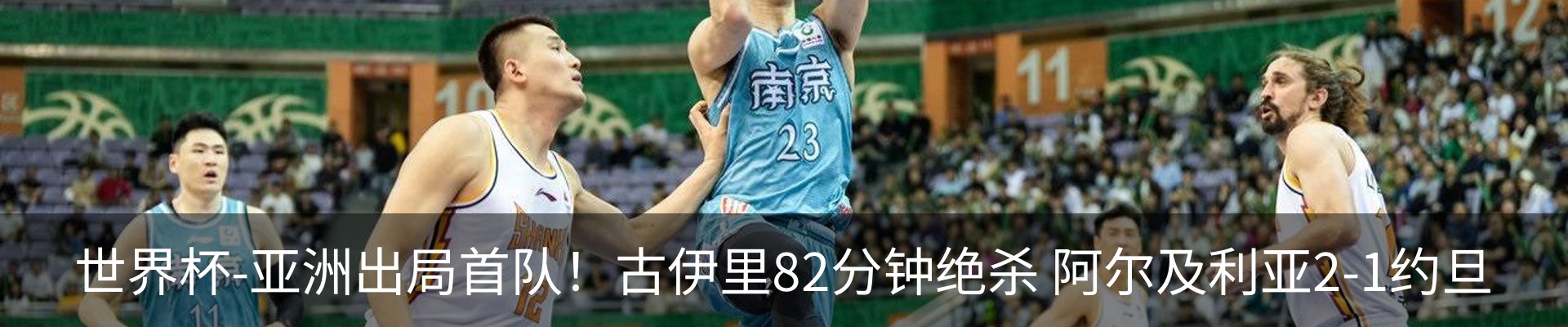 新闻动态